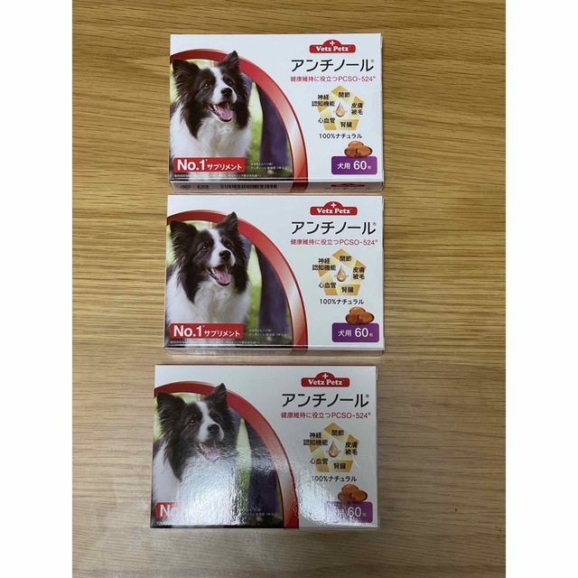 犬用アンチノール 60粒 3箱 【人気急上昇】 pcdpharmaexpress.com