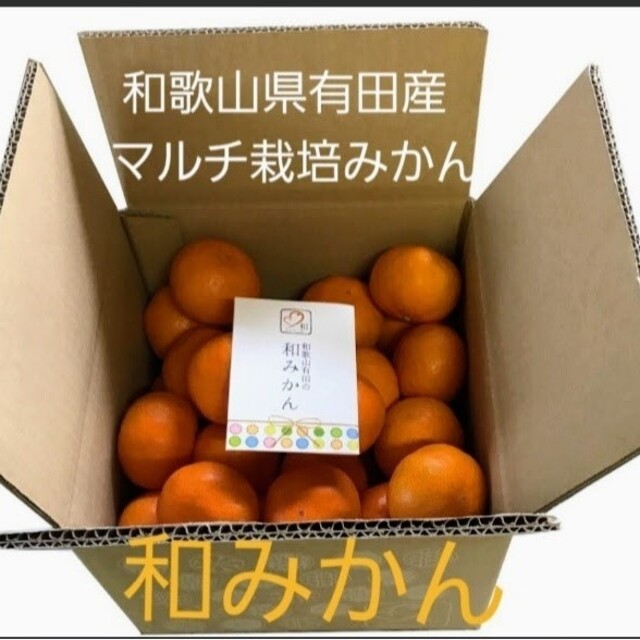 和歌山県有田産　マルチ栽培　和みかん10kg 食品/飲料/酒の食品(フルーツ)の商品写真