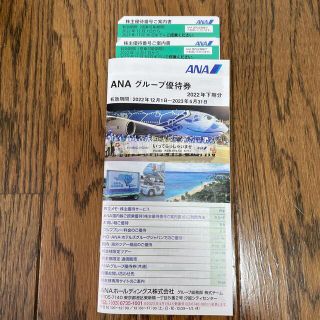 ANA株主優待券2枚　ANAグループ優待券1冊(その他)