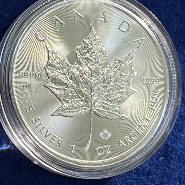 カナダメイプルリーフ1オンス銀貨　未使用美品銀貨　正規購入品純銀地金銀貨 5