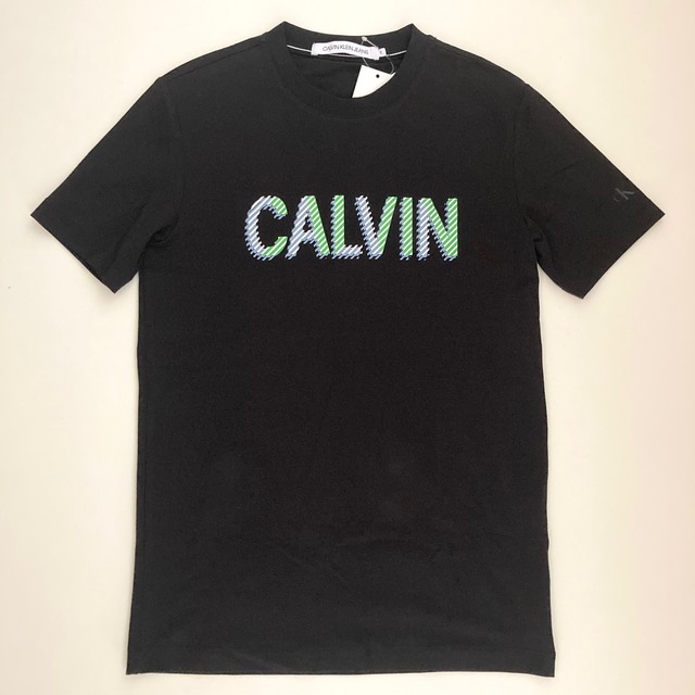 Calvin Klein(カルバンクライン)の新品未使用 Calvin Klein カルバンクライン Tシャツ ロゴ 半袖 メンズのトップス(Tシャツ/カットソー(半袖/袖なし))の商品写真