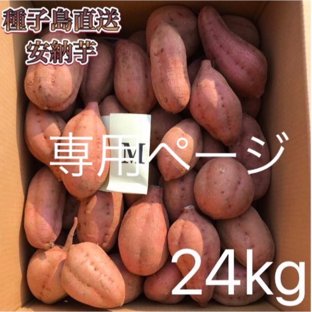 【絶品】種子島産  安納芋M 24kg(箱別)