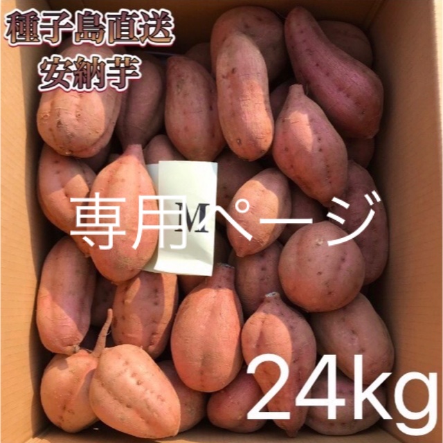 【絶品】種子島産  安納芋M 24kg(箱別)