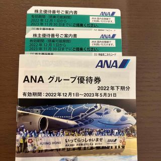 エーエヌエー(ゼンニッポンクウユ)(ANA(全日本空輸))のANA 株主優待(その他)