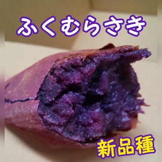 ふくむらさき 紫芋 さつまいも(野菜)