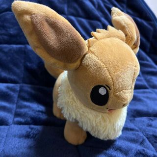 ポケモン(ポケモン)のイーブイぬいぐるみ(ぬいぐるみ)