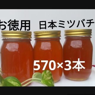 お徳用 日本ミツバチ 蜂蜜(570×3本)(その他)