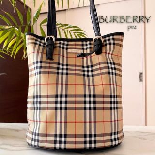 バーバリーブルーレーベル(BURBERRY BLUE LABEL)の極美品 BURBERRY バーバリー バケツ型 レザートートバッグ(ショルダーバッグ)