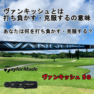 テーラーメイド(TaylorMade)の【テーラーメイドスリーブ付き】ヴァンキッシュ5Ｓ(クラブ)