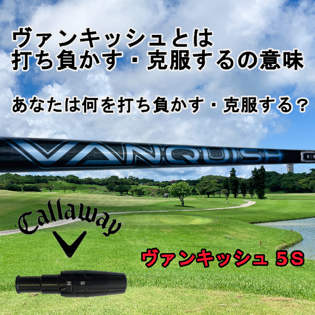 値下げ。VANQUISHヴァンキッシュ5Xドライバーシャフト　プロギアスリーブ付