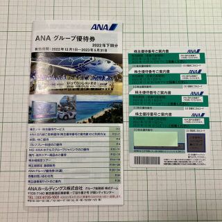 ANA 株主優待4枚　グループ優待券1冊(その他)