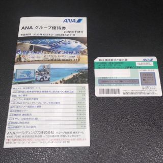 エーエヌエー(ゼンニッポンクウユ)(ANA(全日本空輸))の【最新版】ANA株主優待1枚2023.11.30期限ほか(その他)