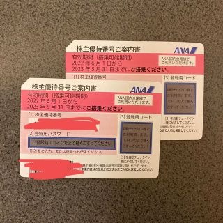 エーエヌエー(ゼンニッポンクウユ)(ANA(全日本空輸))のANA 株主優待券(その他)