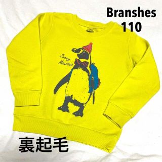 ブランシェス(Branshes)のBranshes★裏起毛トレーナー　ペンギン★110(Tシャツ/カットソー)