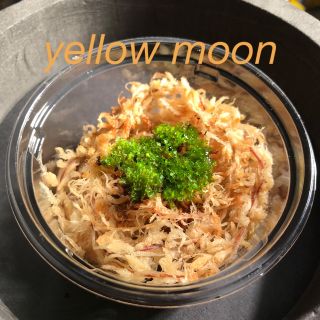 ビカクシダ　yellow moon(その他)