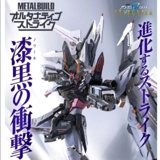 METAL BUILD　ストライクノワール　オルタナティブストライクver.(プラモデル)