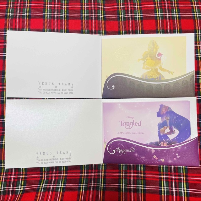Disney(ディズニー)のVenus tears パンフレット エンタメ/ホビーのおもちゃ/ぬいぐるみ(キャラクターグッズ)の商品写真