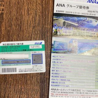 エーエヌエー(ゼンニッポンクウユ)(ANA(全日本空輸))のANA 株主優待(その他)