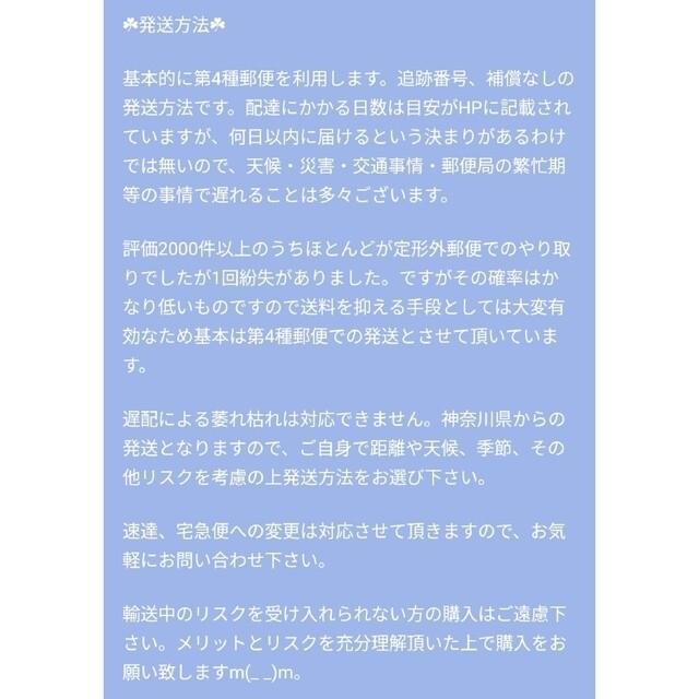 クリスマスローズ　☘　アプリコットジェラート　☘　苗 ハンドメイドのフラワー/ガーデン(その他)の商品写真