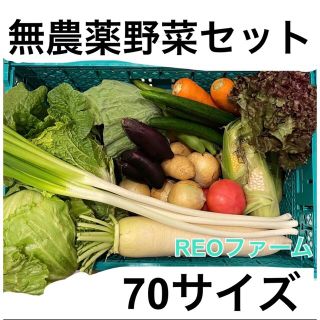 無農薬　野菜　詰め合わせ(野菜)