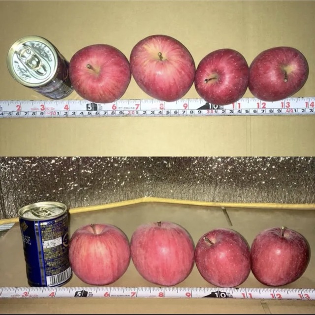 産地直送　りんご2種　青森県産　サンふじ　王林 食品/飲料/酒の食品(フルーツ)の商品写真