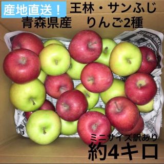 産地直送　りんご2種　青森県産　サンふじ　王林(フルーツ)