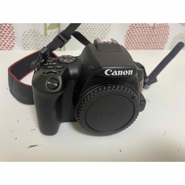 Canon - EOS kiss x10 ボディ、バッテリー、充電器、カメラストラップ ...