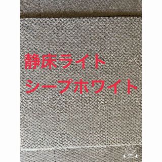 MIDORINA 様専用　静床ライト（引取り限定）(カーペット)