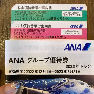 エーエヌエー(ゼンニッポンクウユ)(ANA(全日本空輸))のANA 株主優待　優待券　割引券(その他)