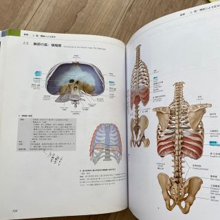 プロメテウス解剖学アトラス 解剖学総論/運動器系の通販 by