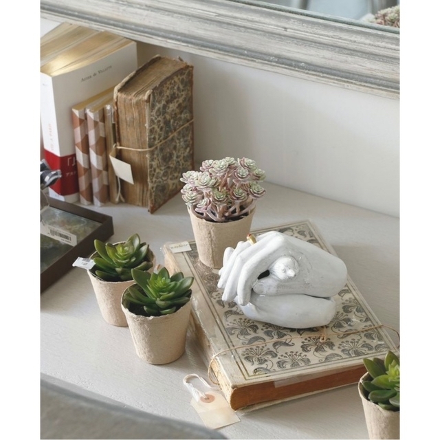 ASTIER de VILLATTE - 新品 アスティエドヴィラット SERENA BOX ASTIER de VILLATTE - 新品 アスティエドヴィラット SERENA BOX