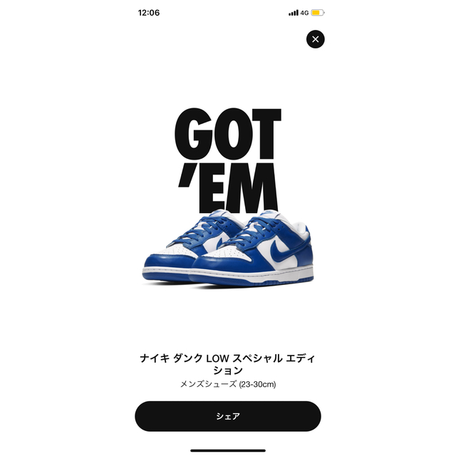 NIKE(ナイキ)のNIKE DUNK Kentucky メンズの靴/シューズ(スニーカー)の商品写真