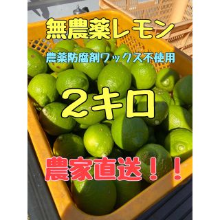 無農薬レモン　農家直送　瀬戸内レモン　国産レモン　岡山県産　レモン　2キロ(フルーツ)