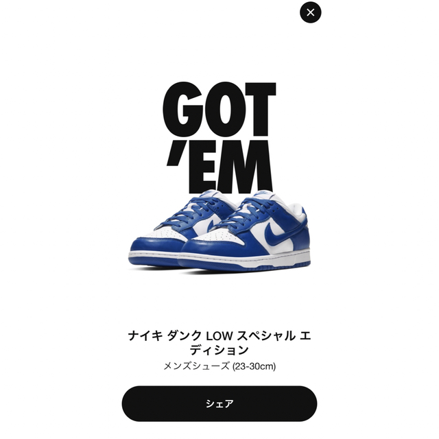 メンズNIKE  Dunk Low "Valerian Blue"