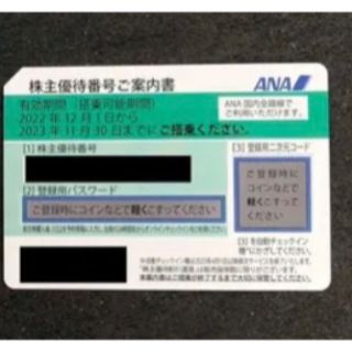 エーエヌエー(ゼンニッポンクウユ)(ANA(全日本空輸))のANA 株主優待券(その他)