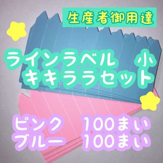 ラインラベル 小 青・桃 各100枚園芸 カラーラベル 多肉植物 エケベリア(プランター)