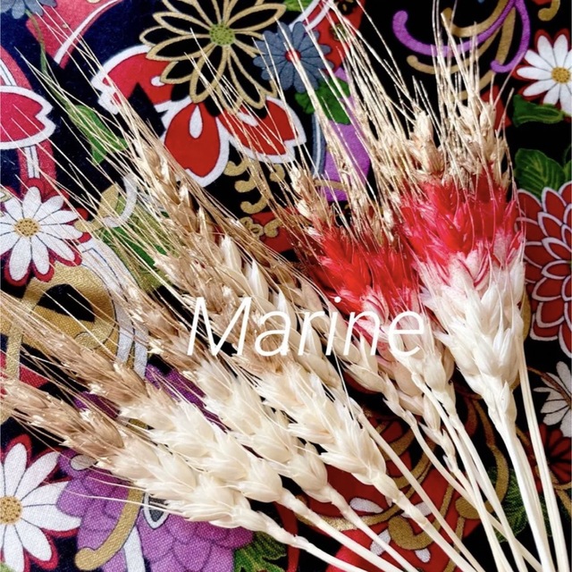 お正月花材 小麦 15本 ホワイトゴールド レッドゴールド ハンドメイドのフラワー/ガーデン(ドライフラワー)の商品写真