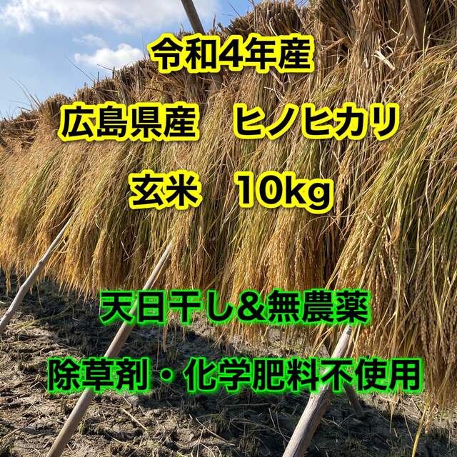 玄米10kg  無農薬　天日干し食品/飲料/酒