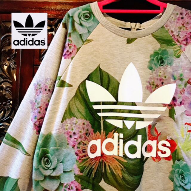 adidas 紫陽花 花柄 パーカー