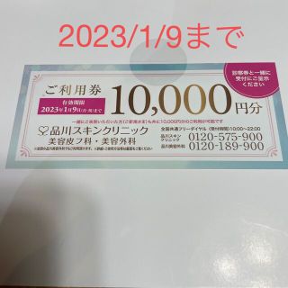 品川スキンクリニック　美容皮膚科　美容外科　ご利用券　10000円分　1万円(その他)