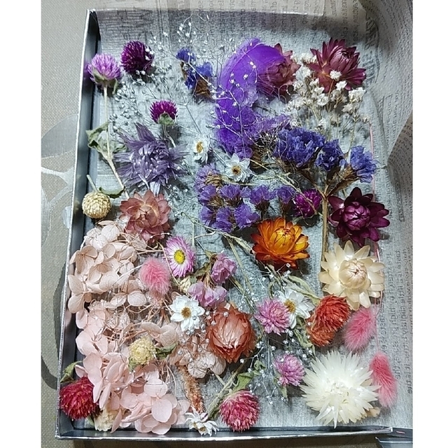 ㉓ドライフラワー花材詰め合わせ ハンドメイドのフラワー/ガーデン(ドライフラワー)の商品写真