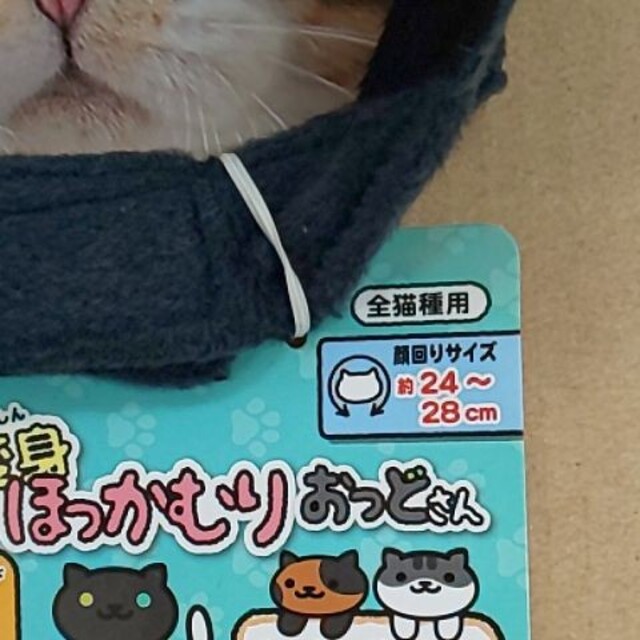 ペティオ 猫用品 猫用 変身ほっかむり かぶりもの ねこあつめ おっどさん その他のペット用品(猫)の商品写真