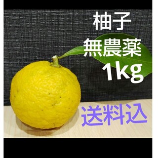 無農薬　柚子【送料込】1.0kg(野菜)