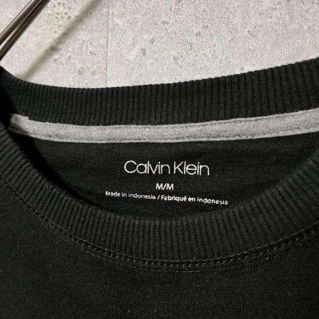 Calvin Klein(カルバンクライン)のCalvin Klein カルバンクライン トレーナー ビッグロゴ シリコン M メンズのトップス(スウェット)の商品写真