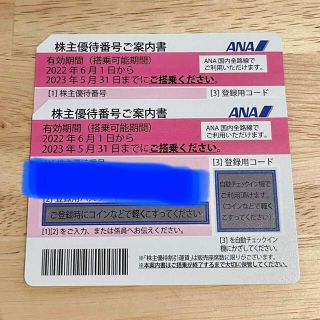 エーエヌエー(ゼンニッポンクウユ)(ANA(全日本空輸))のANA株主優待2枚 〜2023年5月31日まで(その他)