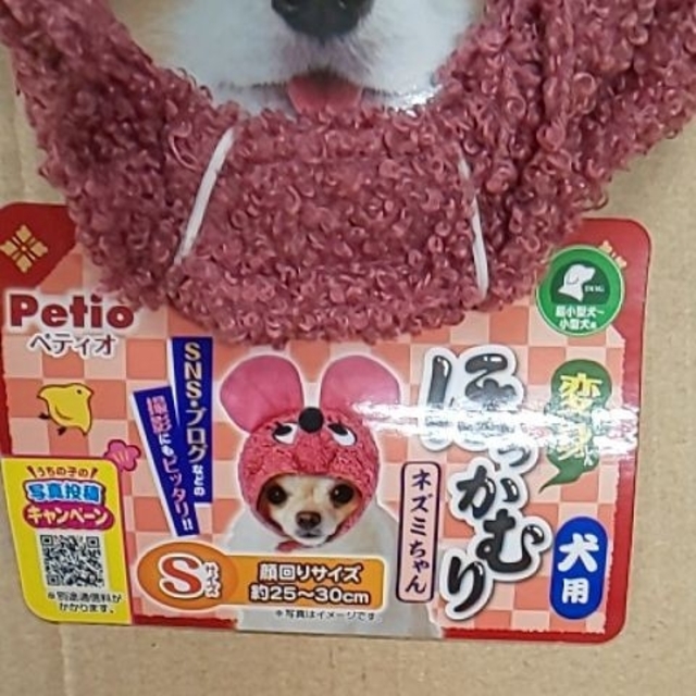 ペティオ 犬用品 犬用 変身ほっかむり かぶりもの ネズミちゃん Sサイズ その他のペット用品(犬)の商品写真