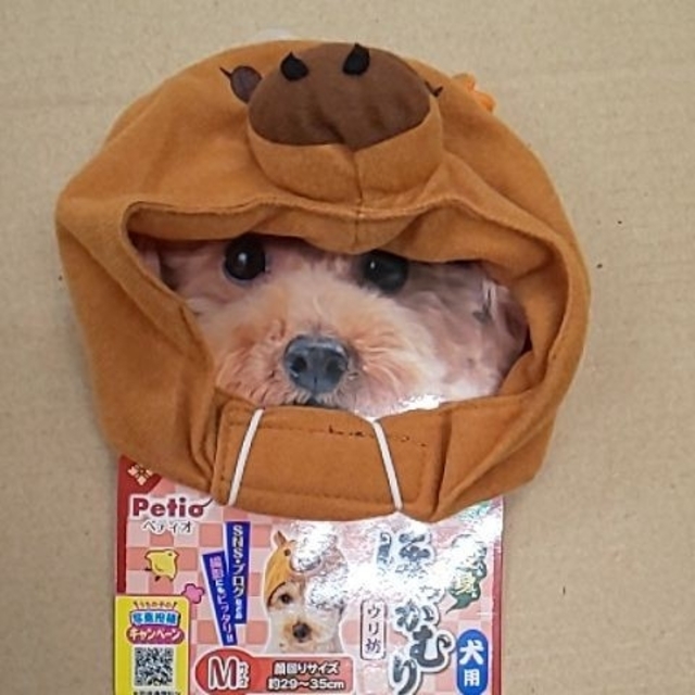 ペティオ 犬用品 犬用 変身ほっかむり かぶりもの ウリ坊 Mサイズ その他のペット用品(犬)の商品写真