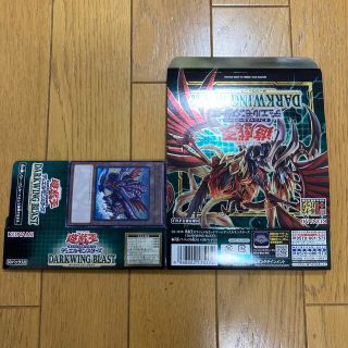 ユウギオウ(遊戯王)の遊戯王 トークンカード、セパレーター付き空箱 ダークウィングブラスト(Box/デッキ/パック)