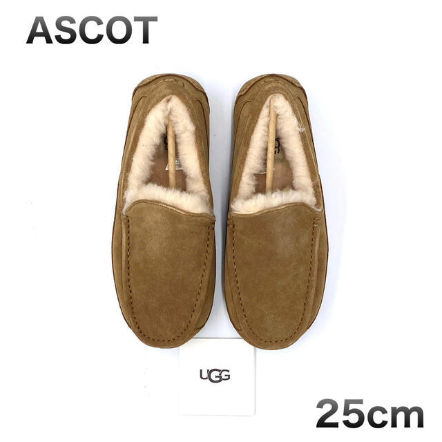UGG - 25cm UGG アグ ASCOT アスコット チェスナット 新品未使用の通販