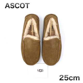 アグ(UGG)の25cm UGG アグ ASCOT アスコット チェスナット 新品未使用(スリッポン/モカシン)